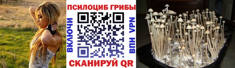 Купить закладки Вязники Галлюциногенные грибы GOLDEN TEACHER
