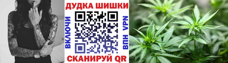 Купить Вязники Бошки Шишки ГИДРОПОН